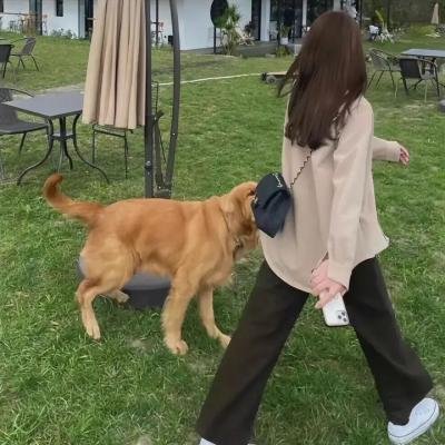 跨过鸭绿江